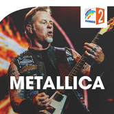 REGENBOGEN 2 Metallica Logo