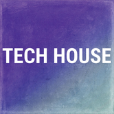 sunshine Tech House Logo