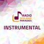 Radio Schlagerparadies - Instrumental Logo