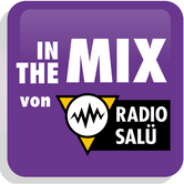 RADIO SALÜ in the Mix Logo