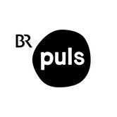 PULS Logo