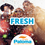 Radio Paloma - Fresh Logo