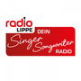Radio Lippe - Dein Singer/Songwriter Radio Logo