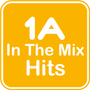 1A In The Mix Hits Logo