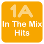 1A In The Mix Hits Logo