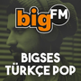 bigFM SES Logo