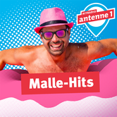 Hitradio antenne 1 Malle Hits Logo