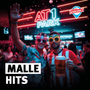Hitradio antenne 1 Malle Hits Logo