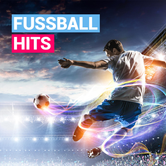 Radio Hamburg Fussball Hits Logo