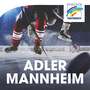 Radio Regenbogen Mannheimer Adler Logo