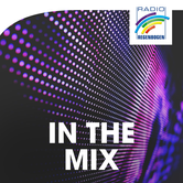 Radio Regenbogen In The Mix Logo