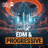 bigFM Nitrox EDM & Progressive Logo